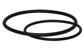 O-RING KIT FOR 2&quot; FILTER new
style